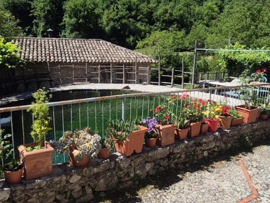 Umbria Valnerina , Il Tartuffo, Near Spoleto Apartment Scheggino Ngoại thất bức ảnh
